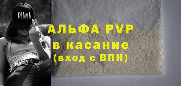 амф Корсаков