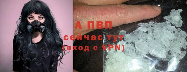 стаф Костерёво