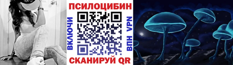 закладки Козловка Псилоцибиновые грибы прущие грибы